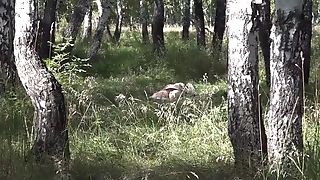 Outdoors, The Peeping Tom Spies On How Masturbates Cougar In Early Pregnancy. Kink On The Meadow.